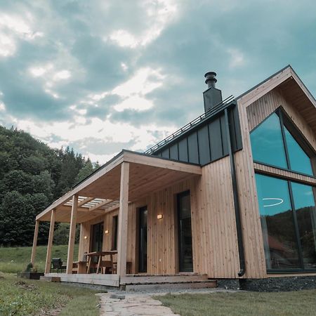 Vama Chalet Вама-Бузэулуй Экстерьер фото