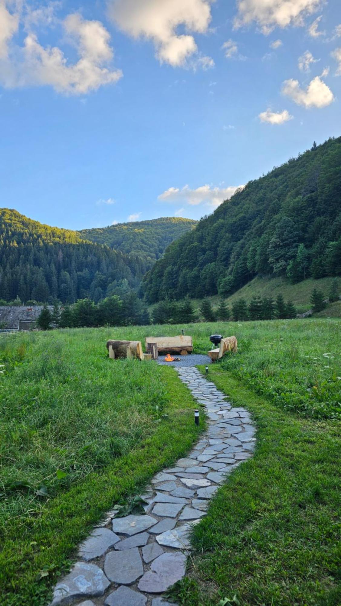 Vama Chalet Вама-Бузэулуй Экстерьер фото