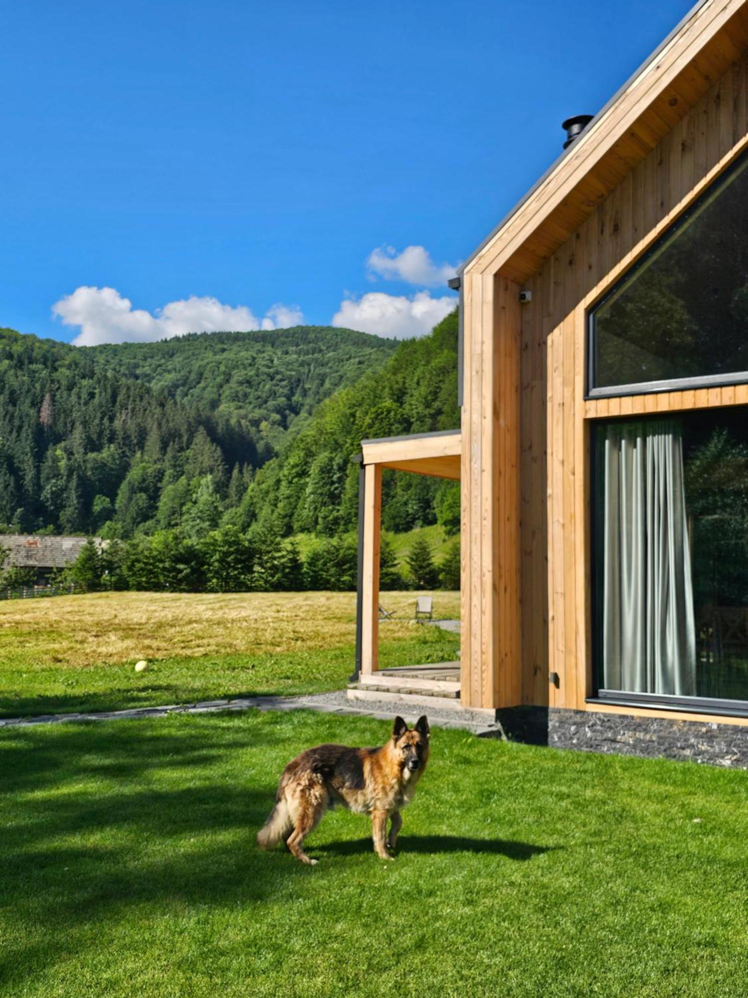 Vama Chalet Вама-Бузэулуй Экстерьер фото