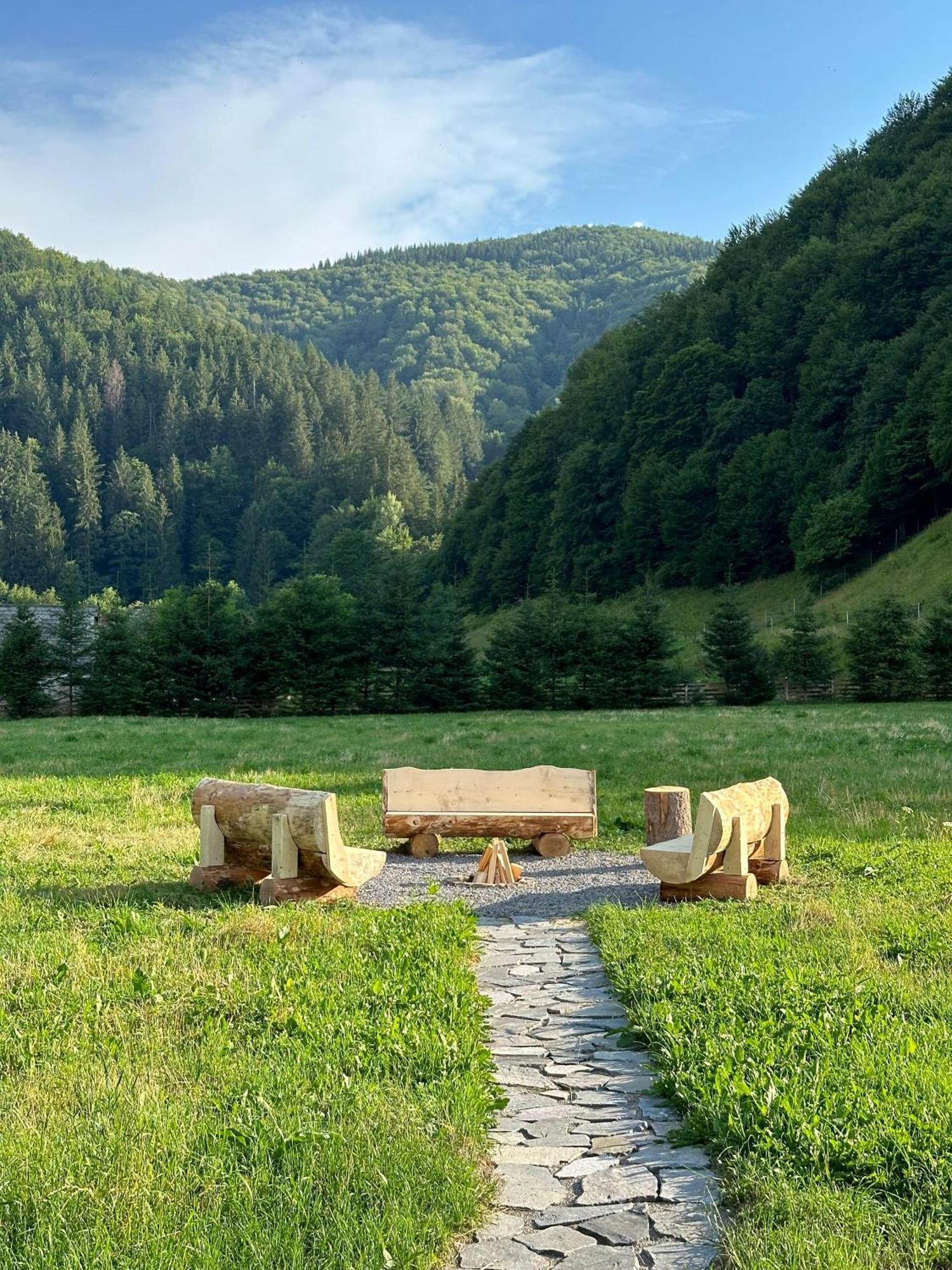 Vama Chalet Вама-Бузэулуй Экстерьер фото