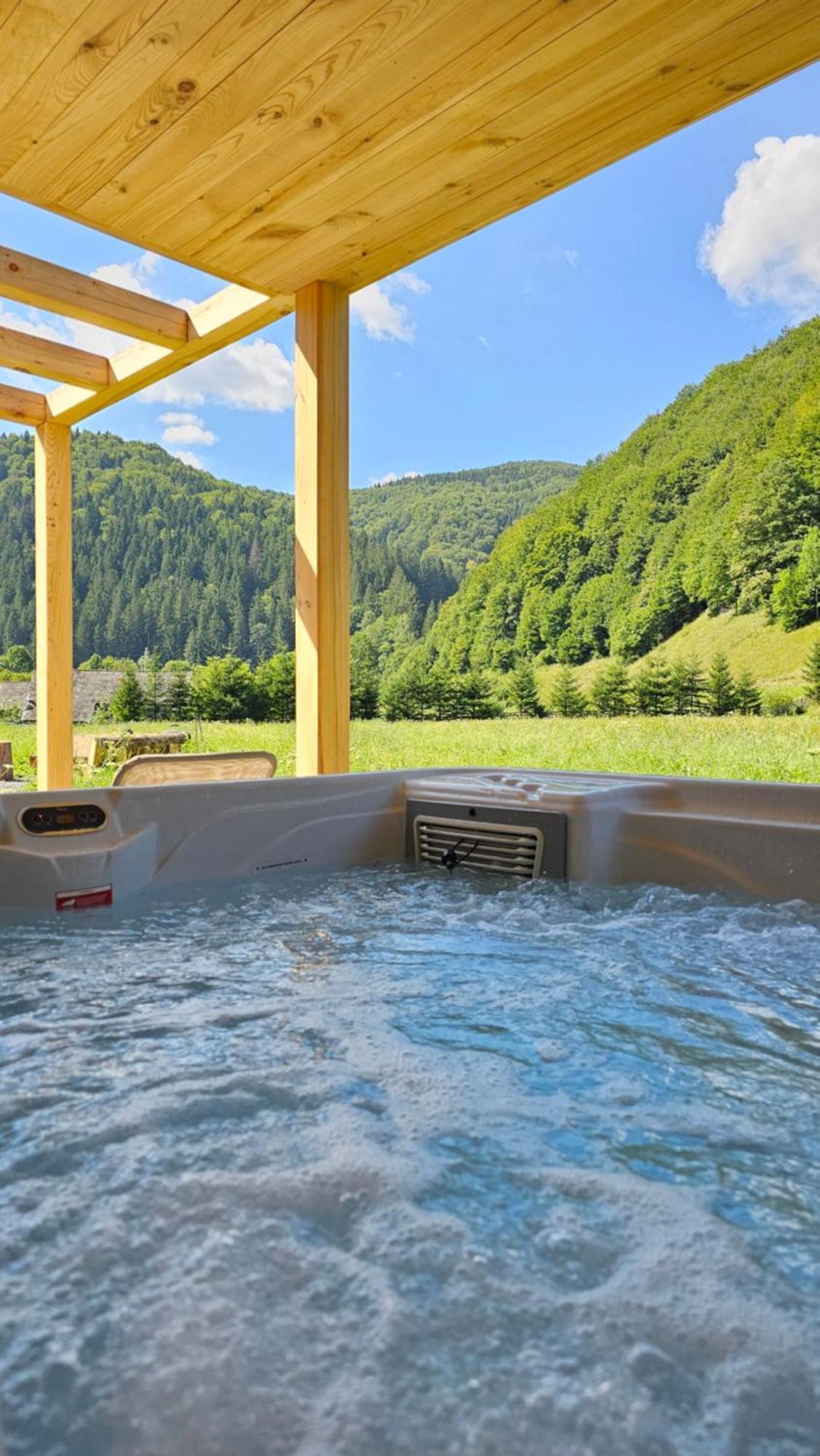 Vama Chalet Вама-Бузэулуй Экстерьер фото