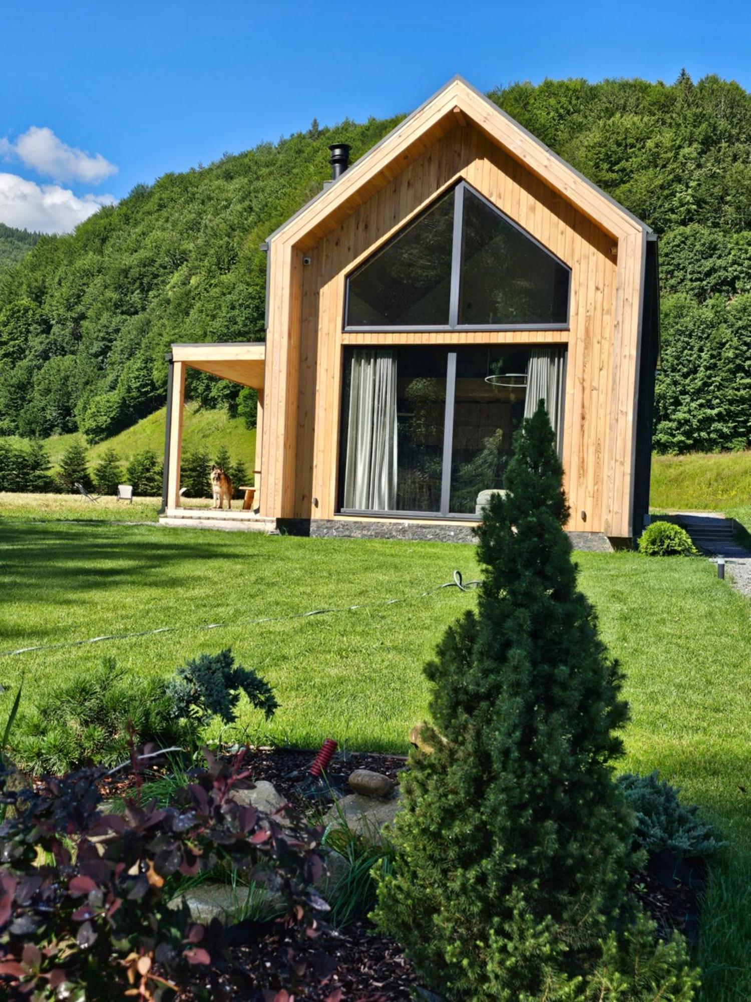 Vama Chalet Вама-Бузэулуй Экстерьер фото