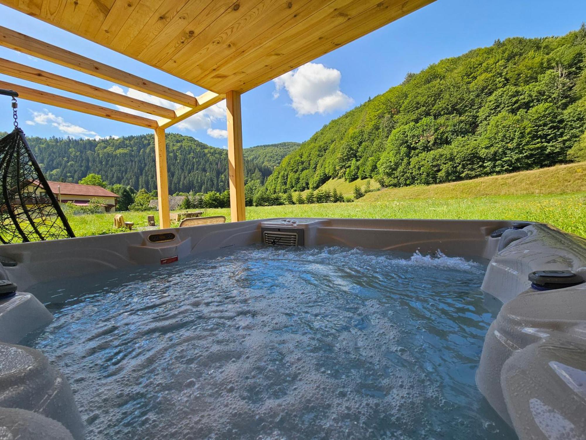 Vama Chalet Вама-Бузэулуй Экстерьер фото