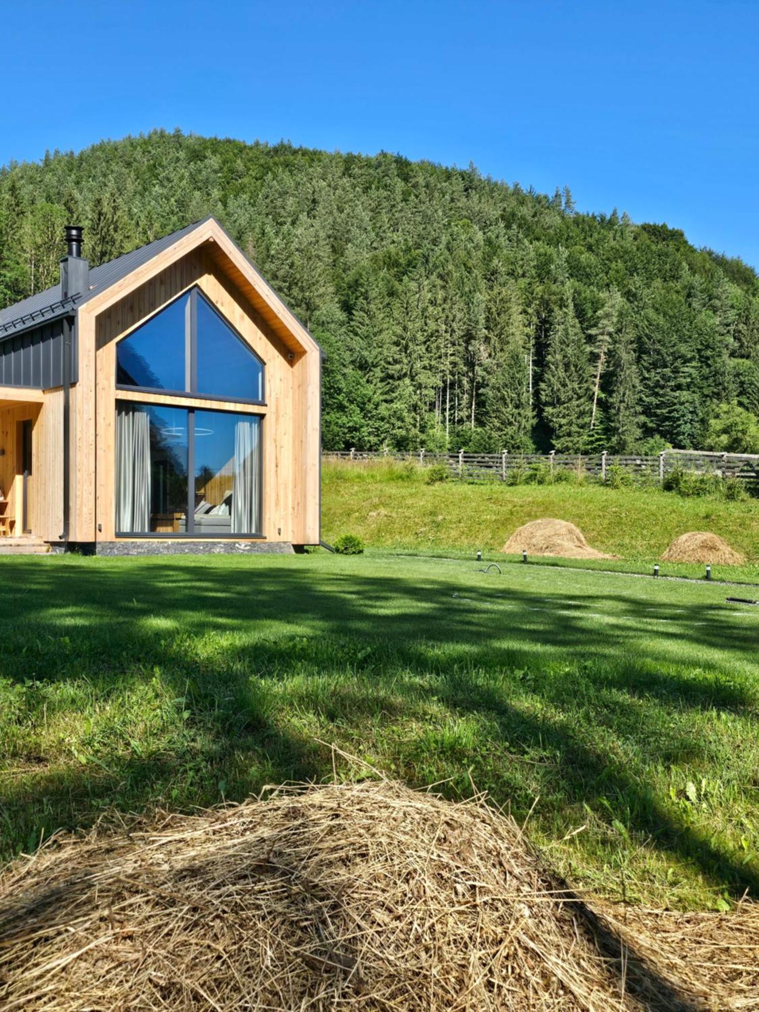 Vama Chalet Вама-Бузэулуй Экстерьер фото