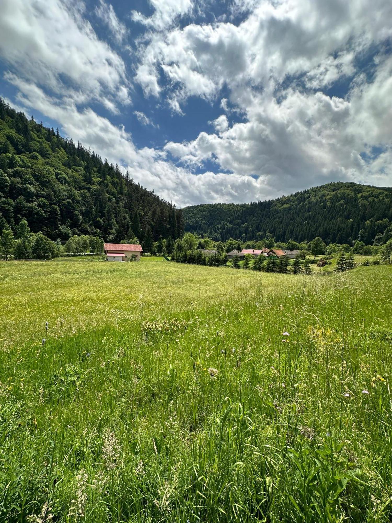 Vama Chalet Вама-Бузэулуй Экстерьер фото