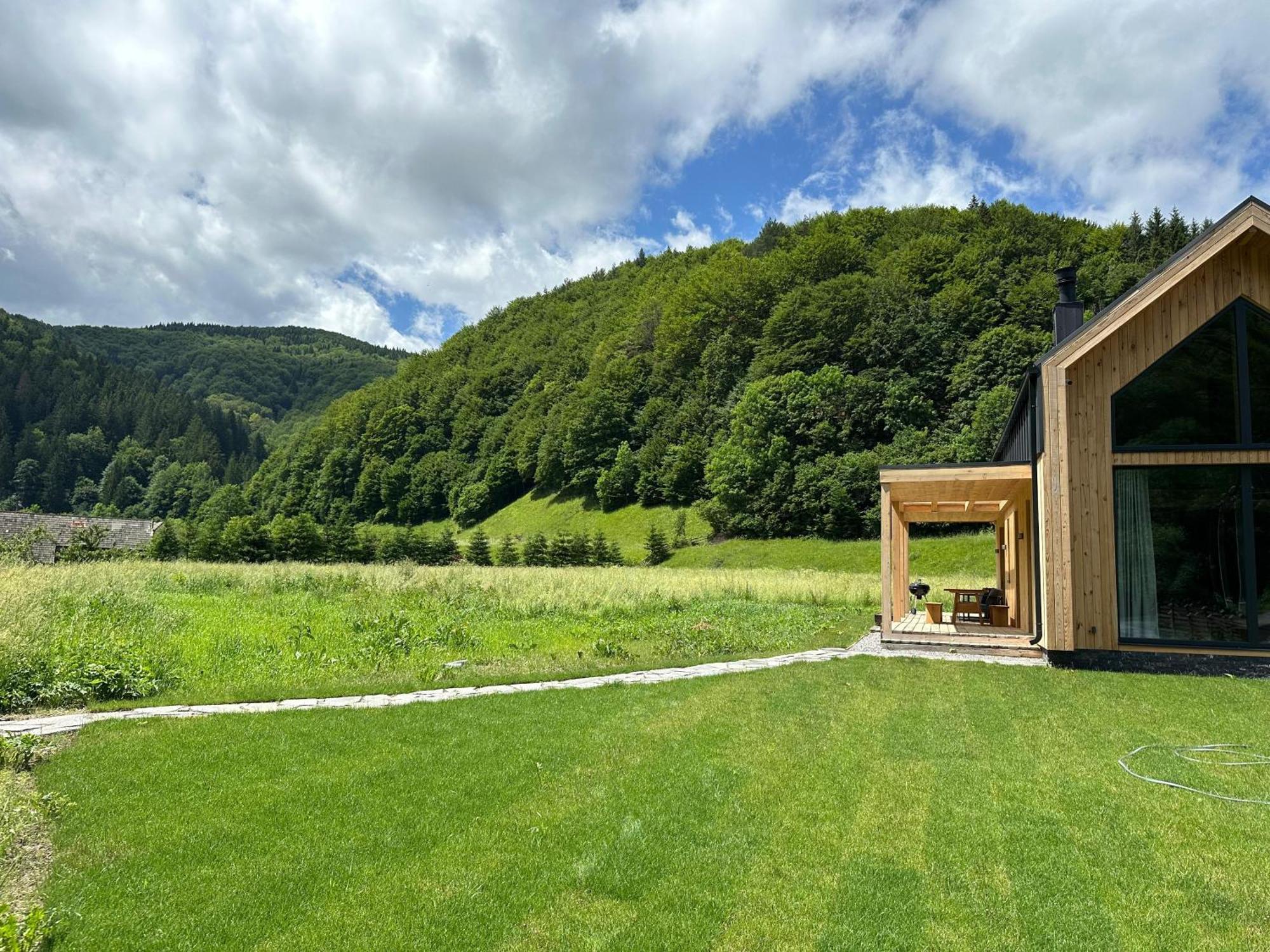 Vama Chalet Вама-Бузэулуй Экстерьер фото