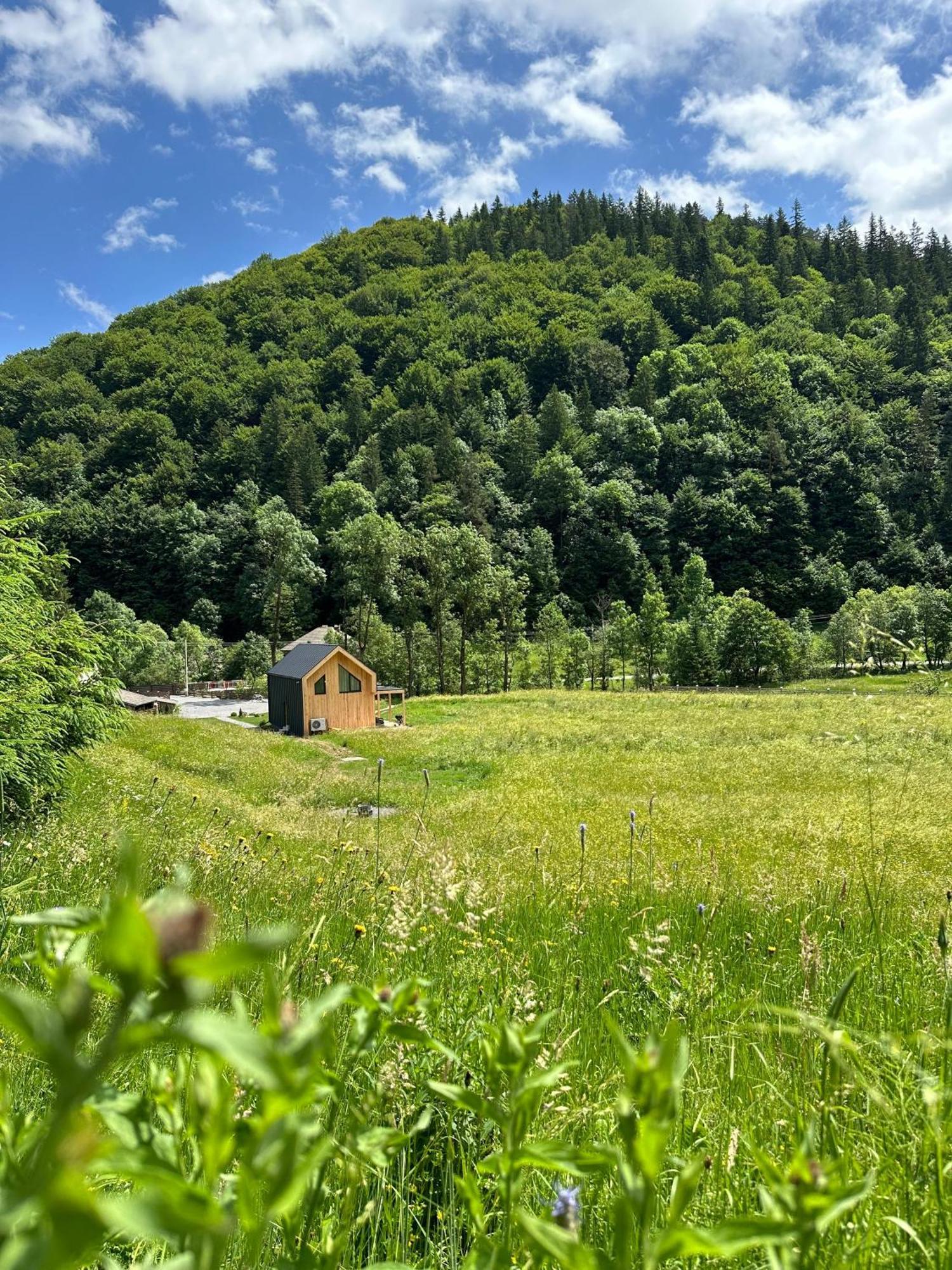Vama Chalet Вама-Бузэулуй Экстерьер фото